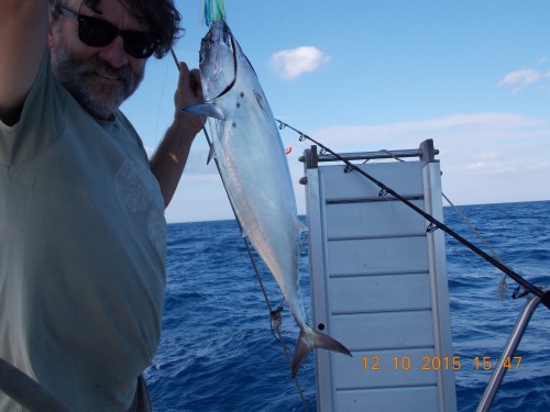Il professore e il pesce serra - ottobre 2015                           